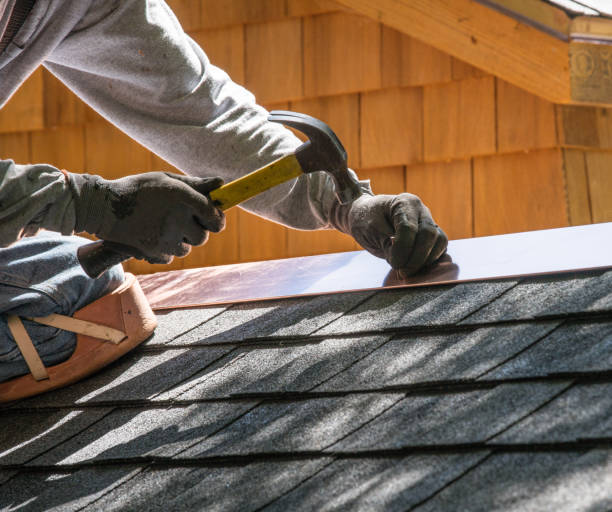 Roof Gutter Cleaning in Metropolis, IL